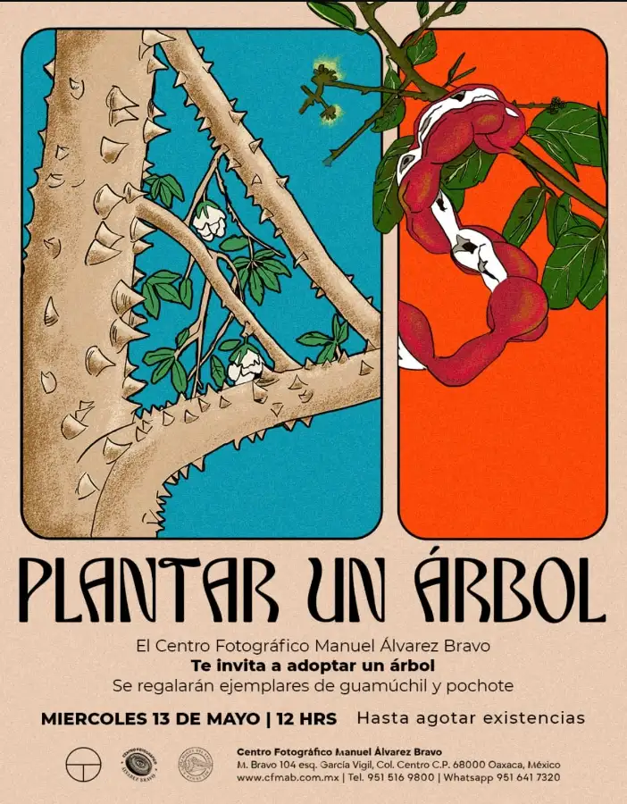 Plant a Tree